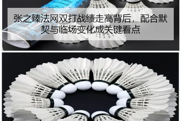 张之臻法网双打战绩走高背后，配合默契与临场变化成关键看点